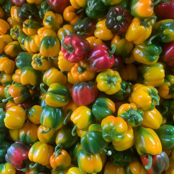 Bell Peppers